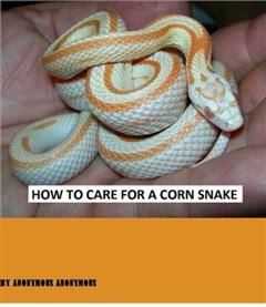 How to Care for a Corn Snake, Snake eBooks