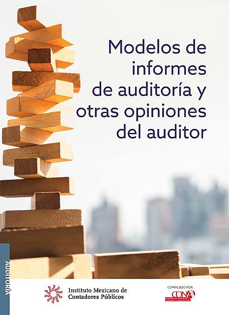 Modelos de informes de auditoría y otras opiniones del auditor, COMISIÓN DE NORMAS DE AUDITORÍA Y ASEGURAMIENTO