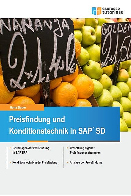 Preisfindung und Konditionstechnik in SAP SD, Ilona Bauer