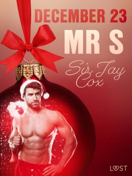 December 23: Mr S – An Erotic Christmas Calendar, Sir Jay Cox