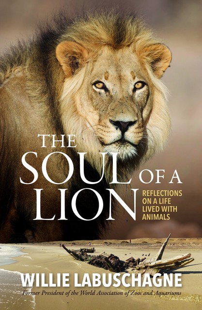 The Soul of a Lion, Willie Labuschagne