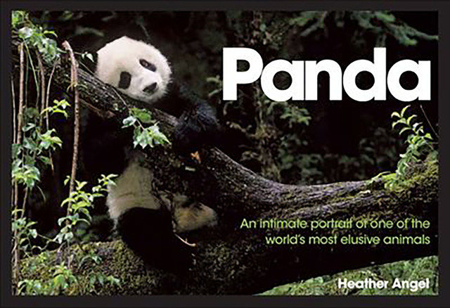 Panda, Heather Angel