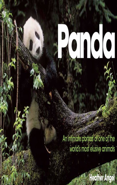 Panda, Heather Angel