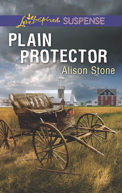 Plain Protector, Alison Stone