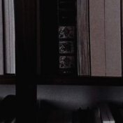 “𝐑 𝐎 𝐌 𝐀 𝐍 𝐂 𝐄” – a bookshelf, 𝔉𝔩𝔬𝔯 𝔈𝔩𝔢𝔫𝔞