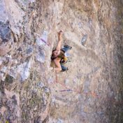 „Climbing“ – Ein Regal, Grace Silva Blankenagel
