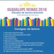 „Mi Guadalupe-Reinas 2018” – egy könyvespolc, Irlanda Sánchez Juárez