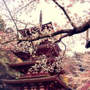 “Japan | Япония” – een boekenplank, Talie