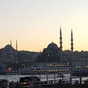 “Константинополь.  Византий.  Стамбул” – bir kitap kitaplığı, Irina Abbasova