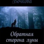 „Оборотная сторона луны” – egy könyvespolc, Настасья An Stihiya