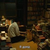 “Зарубежная литература XX век” – a bookshelf, Влада Брагина