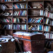 “Прочитанные” – a bookshelf, Анна Афонина