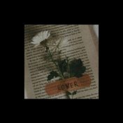 “Майя Бэнкс "Анетакисы"” – een boekenplank, Ксения Павлова