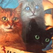 “Коты- Воители” – a bookshelf, Полина Симоненко