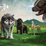 “Survivors Dogs Series”, una estantería, Mina Cahoon