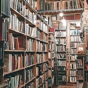 “will read” – a bookshelf, Yana Truneva