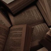 “Literary Oasis” – a bookshelf, mejo