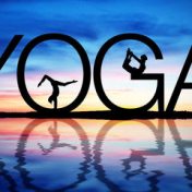 “Yoga”, una estantería, Senem Cengiz