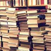 “Литература о литературе” – a bookshelf, Johanna Ivanova de Mendoza