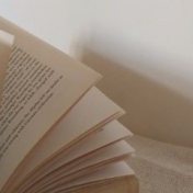„Bücher auf Deutsch“ – Ein Regal, nadiiapilhun