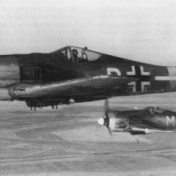 „World War II: Aviation“ – Ein Regal, Casemate Publishers