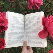 „2020’de okuduklarım” – egy könyvespolc, Fulden Ufacık