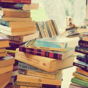 „Книжный флэшмоб 2017” – egy könyvespolc, Дарья Байбакова
