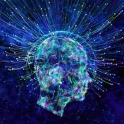 „Cognitive science“ – Ein Regal, emeraldfleur