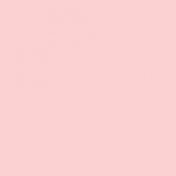 „Mystery” – egy könyvespolc, rosandictea