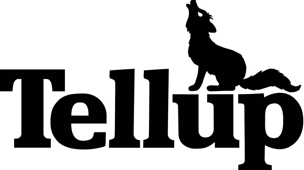 “Tellup YA Fantasy” – a bookshelf, Tellerup