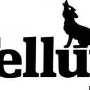 “Tellup YA Fantasy” – uma estante, Tellerup