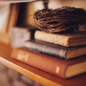 “ХУДОЖЕСТВЕННАЯ ЛИТЕРАТУРА” – a bookshelf, Ирина Мельник