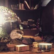 “Важные книги 2016” – a bookshelf, Mariana Ko