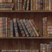 “Нужно перечитать ✅” – a bookshelf, Dina W-r