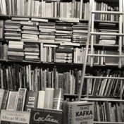 “Книги для писателей, сценаристов и прочих авторов текстов” – a bookshelf, Anastasiya Dudina