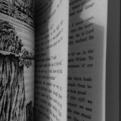 “Книги англійською” – a bookshelf, Yulia Nychyporchuk