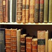 “книги, которые научат мыслить шире” – een boekenplank, фазаньер