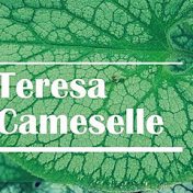 “Teresa Cameselle - Novelas independientes” – bir kitap kitaplığı, fantásticas_adicciones 🤗