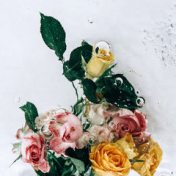 ”❤” – en bokhylla, Rachellhigareda