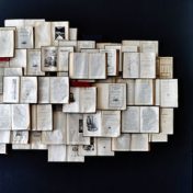 “Библиотерапия”, una estantería, Nadejda Chelomova