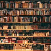“Best” – a bookshelf, Roberto Castellanos