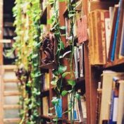 ”Летние книги” – en bokhylla, polyshina266