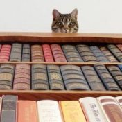“Интересно почитать” – a bookshelf, Денис Сафонов