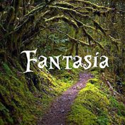 “Fantasía” – a bookshelf, Dany