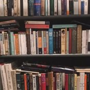 “#GuadalupeReinas2018” – a bookshelf, Fer Silva