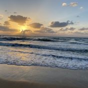 “Хочу прочитать” – a bookshelf, Julia Permyakova