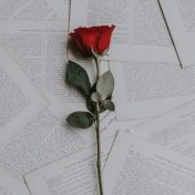 “Romantik på redaktionen” – een boekenplank, Bookmate
