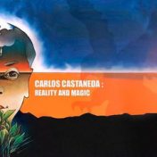 “Карлос Кастанеда” – een boekenplank, Марина Васечкина