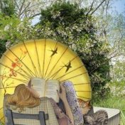 “Летний ветерок ☀️🍃” – een boekenplank, На лужайке с книгой