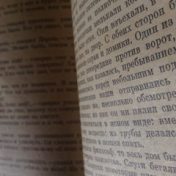 “Прочесть!” – een boekenplank, Маленькая Сучка